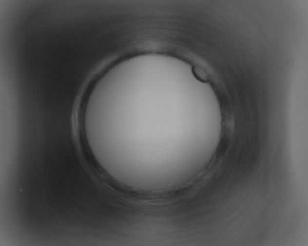 X0000101460678200807071133