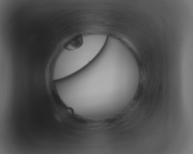 X0000101460679200807071133
