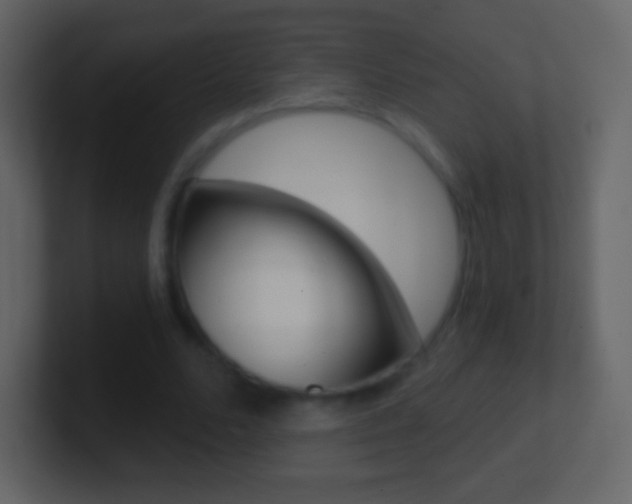 X0000101460680200807071133