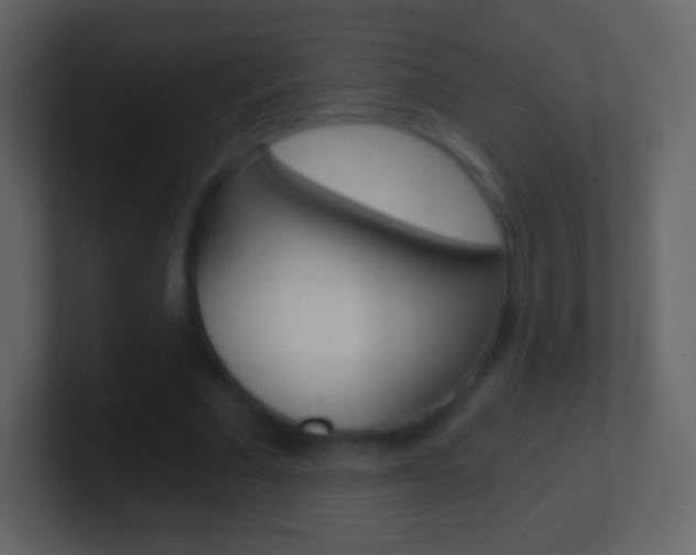 X0000101460681200807071133