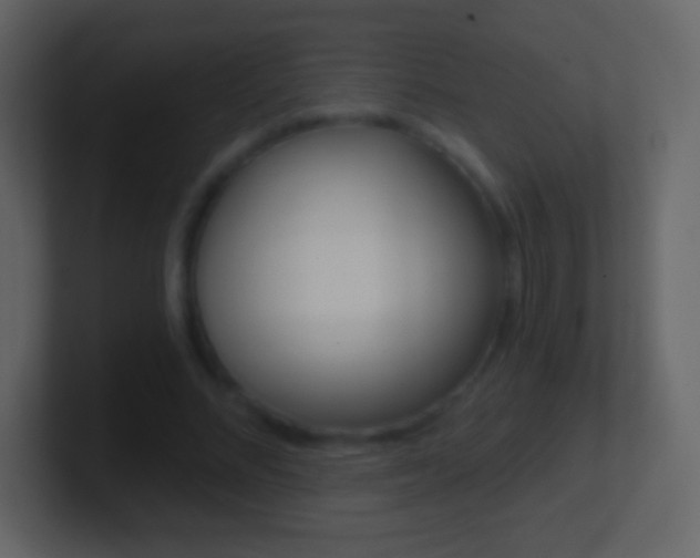 X0000101460684200807071133