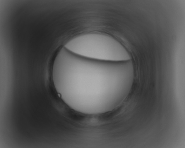 X0000101460687200807071133