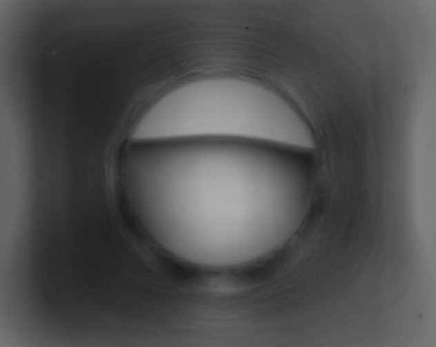 X0000101460688200807071133