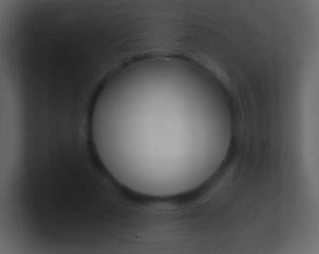 X0000101460689200807071133