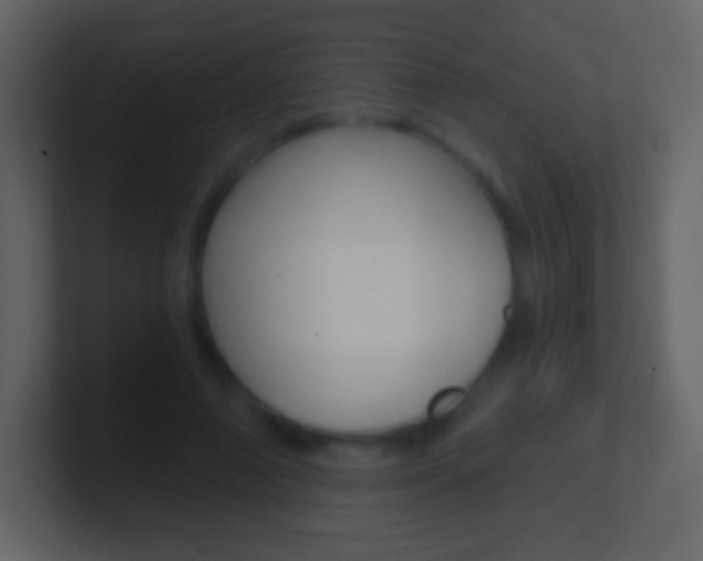 X0000101460690200807071133