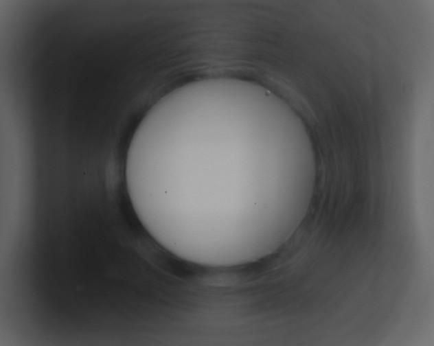 X0000101460691200807071132