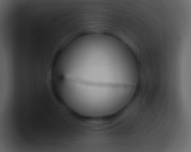 X0000101460693200807071132