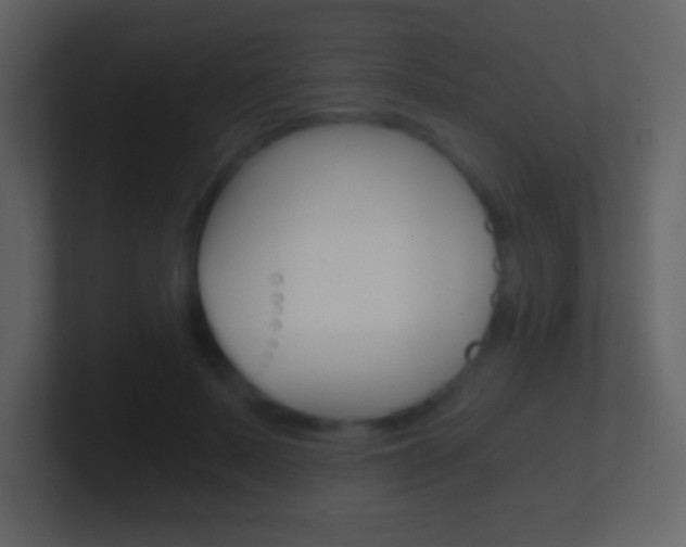 X0000101460695200807071132