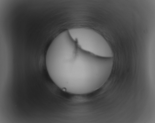 X0000101460699200807071132