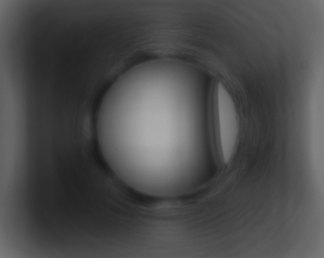 X0000101460700200807071132