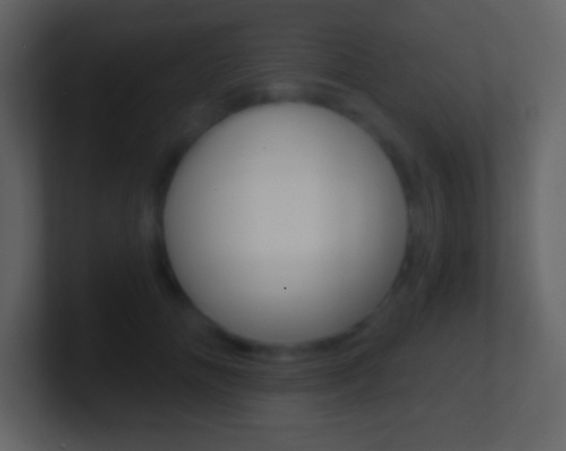 X0000101460702200807071132