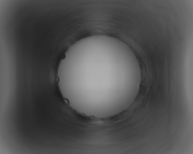X0000101460706200807071132