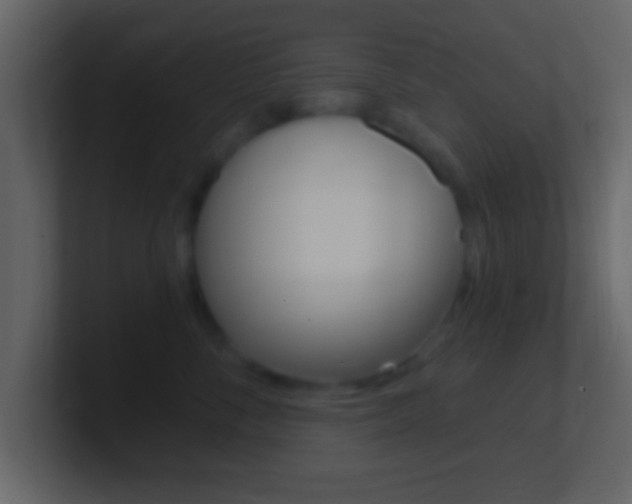 X0000101460716200807071132