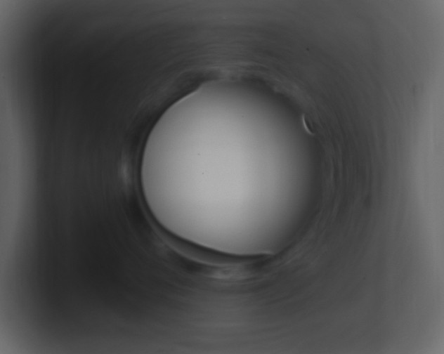 X0000101460720200807071132