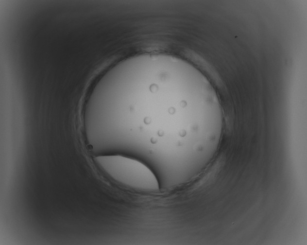 X0000101460721200807071131