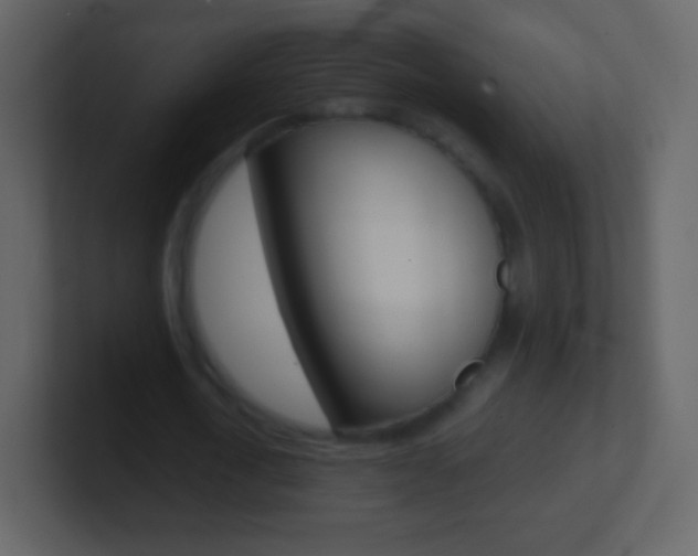 X0000101460722200807071131