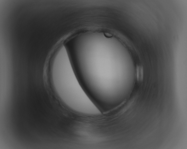 X0000101460723200807071132