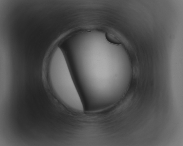 X0000101460724200807071132