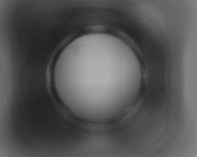 X0000101460725200807071132