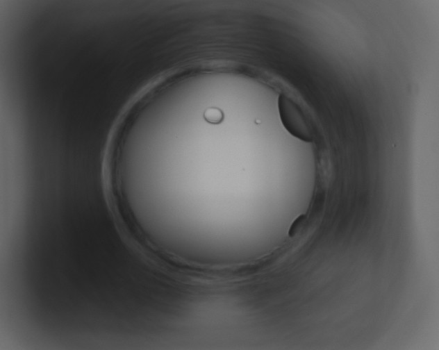 X0000101460726200807071132