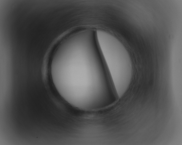 X0000101460728200807071132