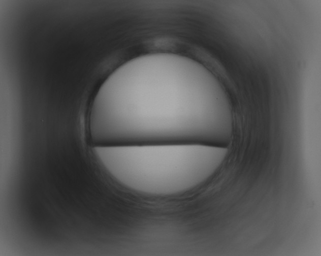 X0000101460729200807071132