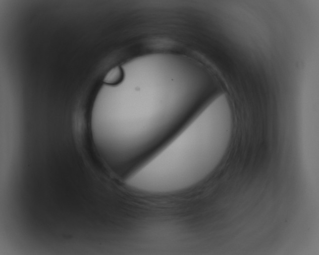 X0000101460731200807071132