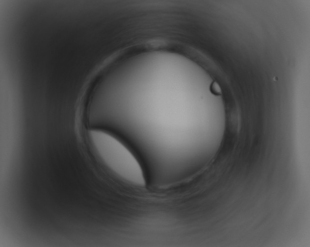 X0000101460732200807071132