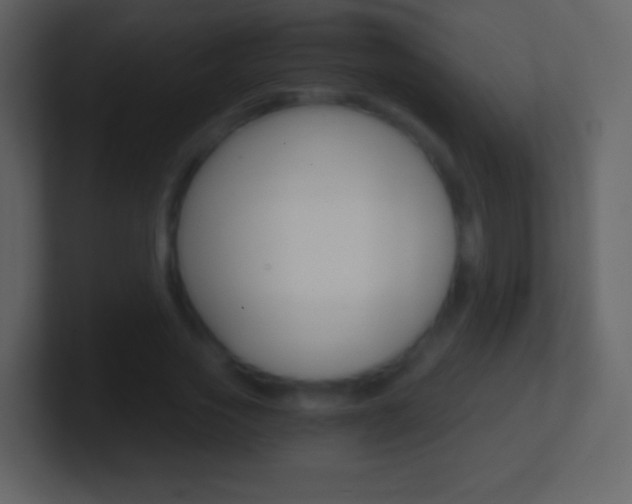 X0000101460733200807071132