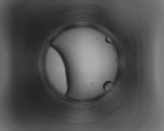 X0000101460734200807071132