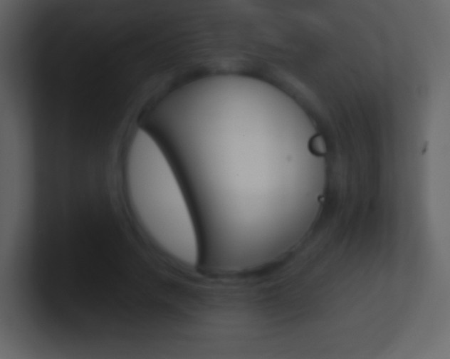 X0000101460738200807071132