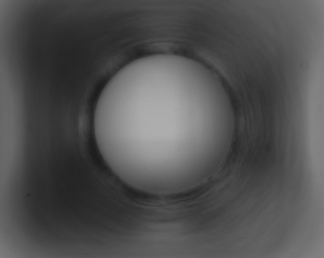 X0000101460739200807071132