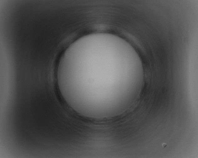 X0000101460740200807071132