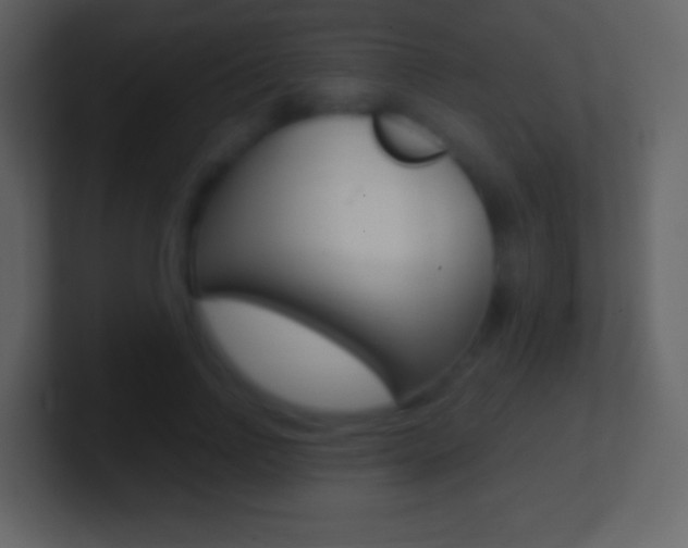 X0000101460742200807071132