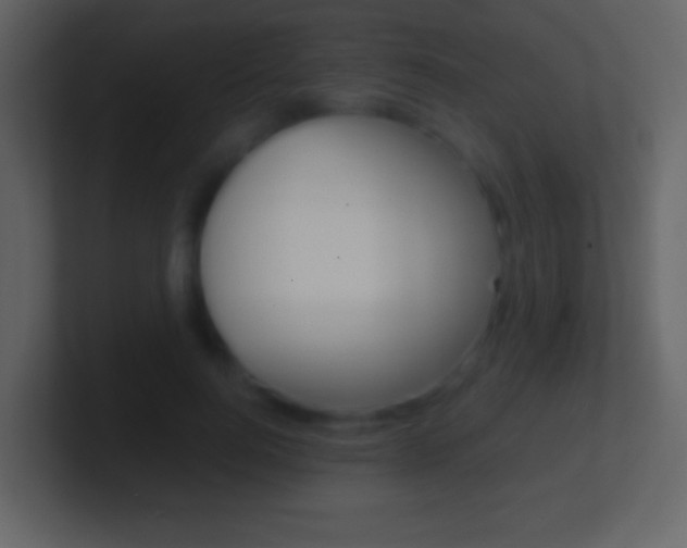 X0000101460744200807071132
