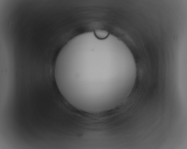 X0000101460745200807071132