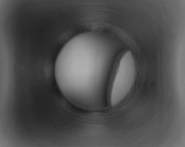 X0000101460748200807071132