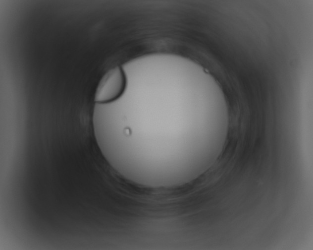 X0000101460749200807071132