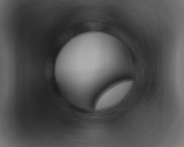 X0000101460752200807071132