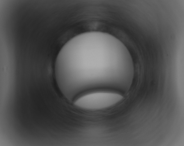 X0000101460754200807071132
