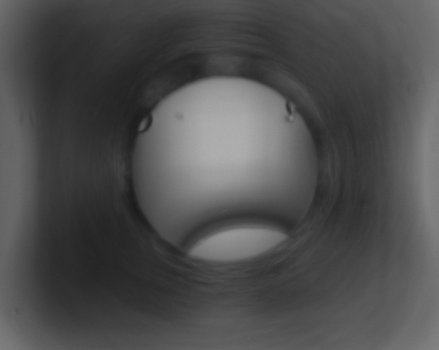 X0000101460759200807071132