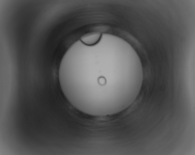 X0000101460761200807071132