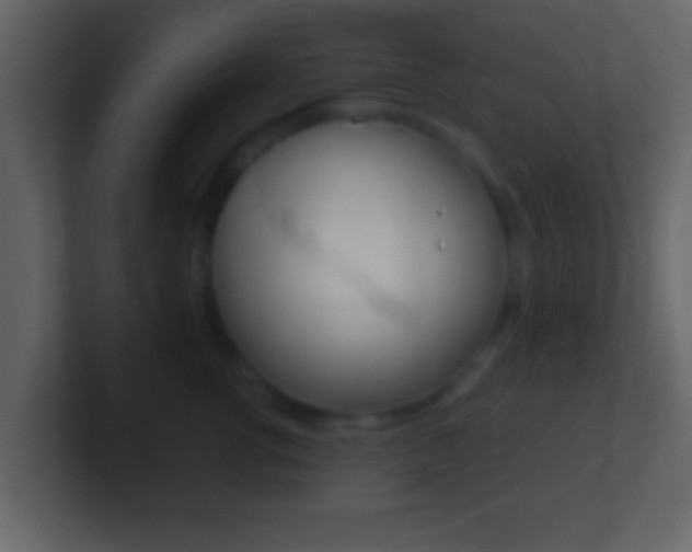 X0000101460762200807071132
