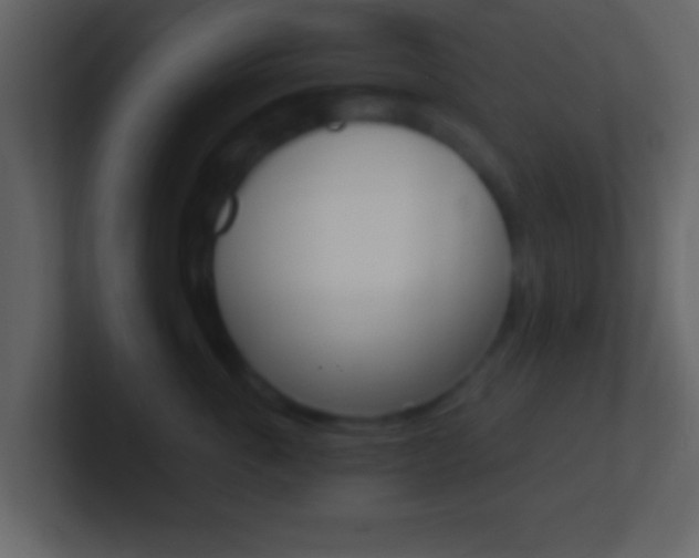 X0000101460763200807071132