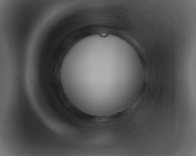 X0000101460764200807071132