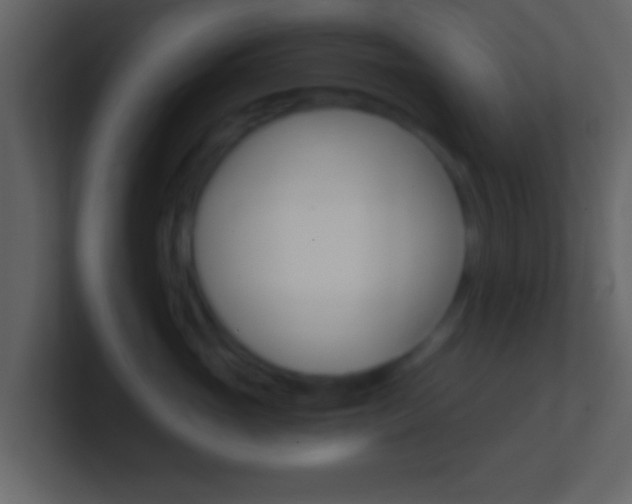 X0000101460765200807071132
