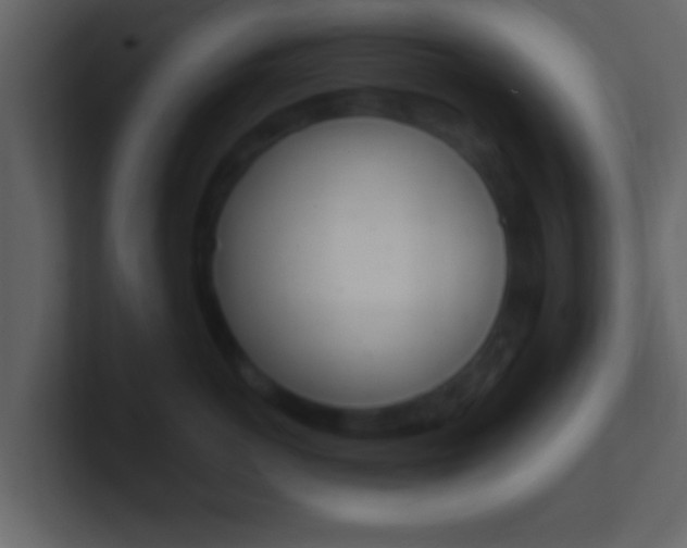 X0000101460766200807071132