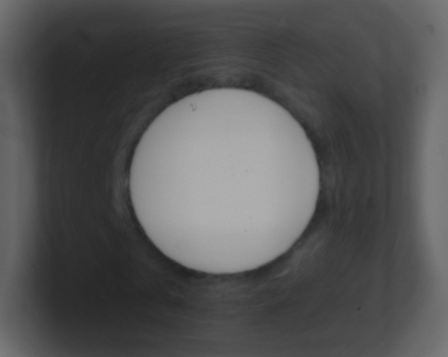 X0000101460769200807071131
