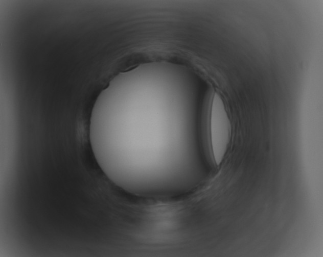 X0000101460772200807071131