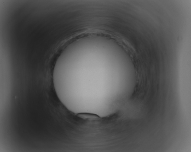 X0000101460773200807071131